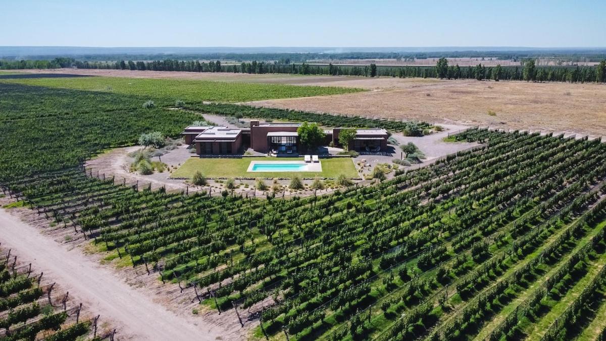 Casa Crux - Bodega Alfa Crux Vila Eugenio Bustos Exterior foto